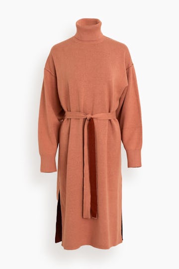 Cashmere Blend Turtleneck Dress in Rose/Burgundy: image 1