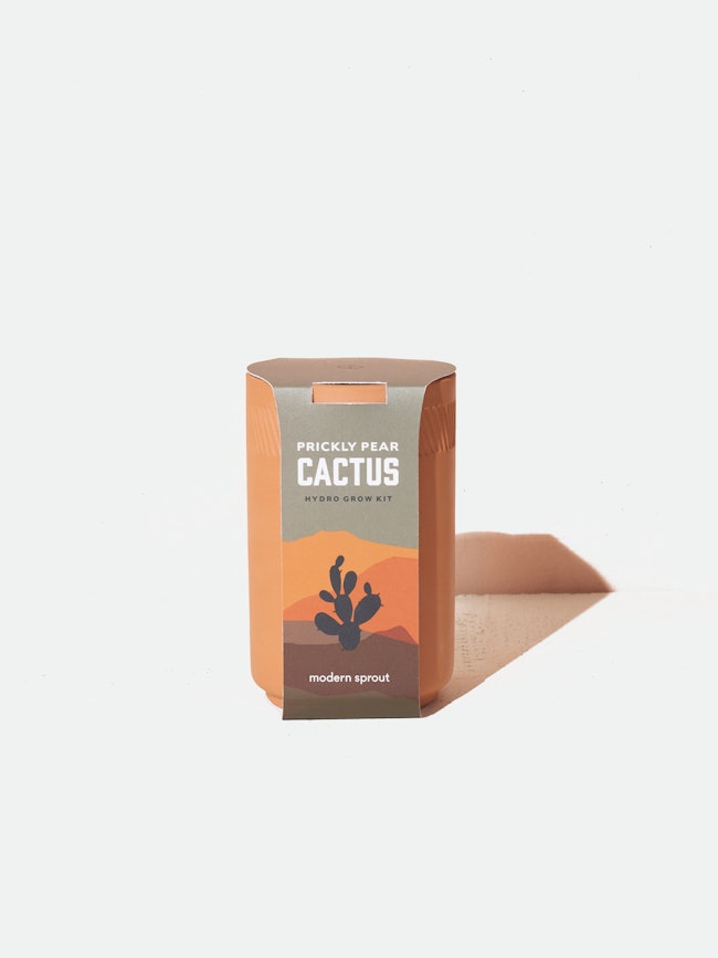 Prickly Pear Cactus Terracotta Grow Kit: image 1