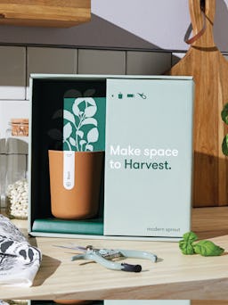 Harvest Live Well Gift Set: additional image