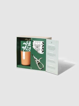 Harvest Live Well Gift Set: additional image