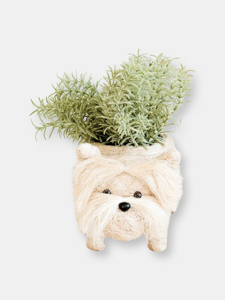 Westie Planter - Coco Coir Pots: image 1