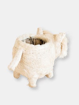 Westie Planter - Coco Coir Pots: additional image