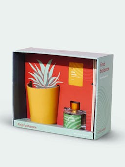 Find Balance - Grounding Aloe Kit: image 1