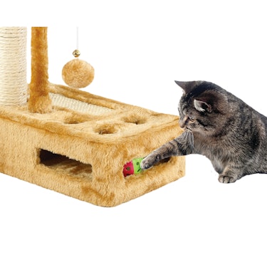 Kitty Complete Play Gym: additional image