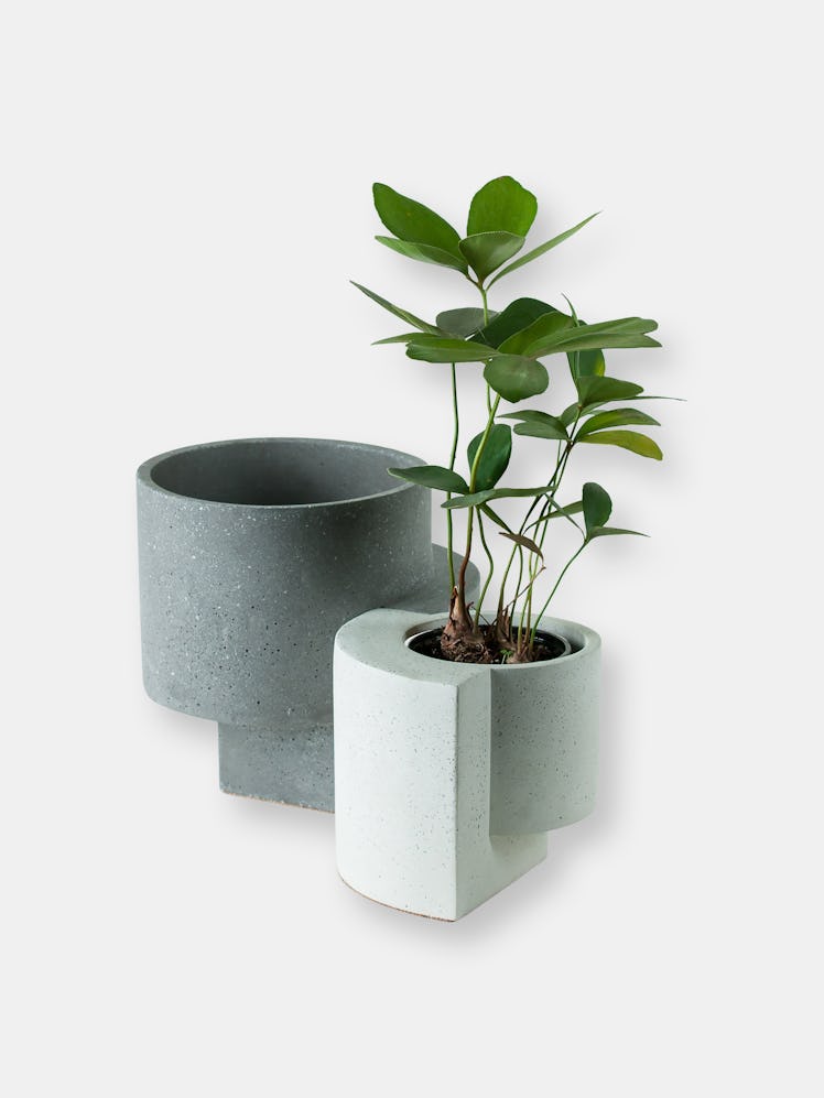 Platform Planters, Yin Yang Planter Set (One Medium Graphite and One Small White): image 1