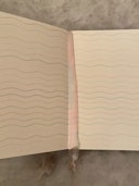 Gratitude Journal: additional image