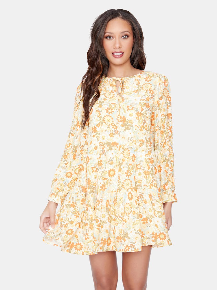 Prairie Rose Mini Dress: additional image