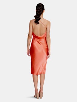 Anya Midi Dress | Apricot: additional image