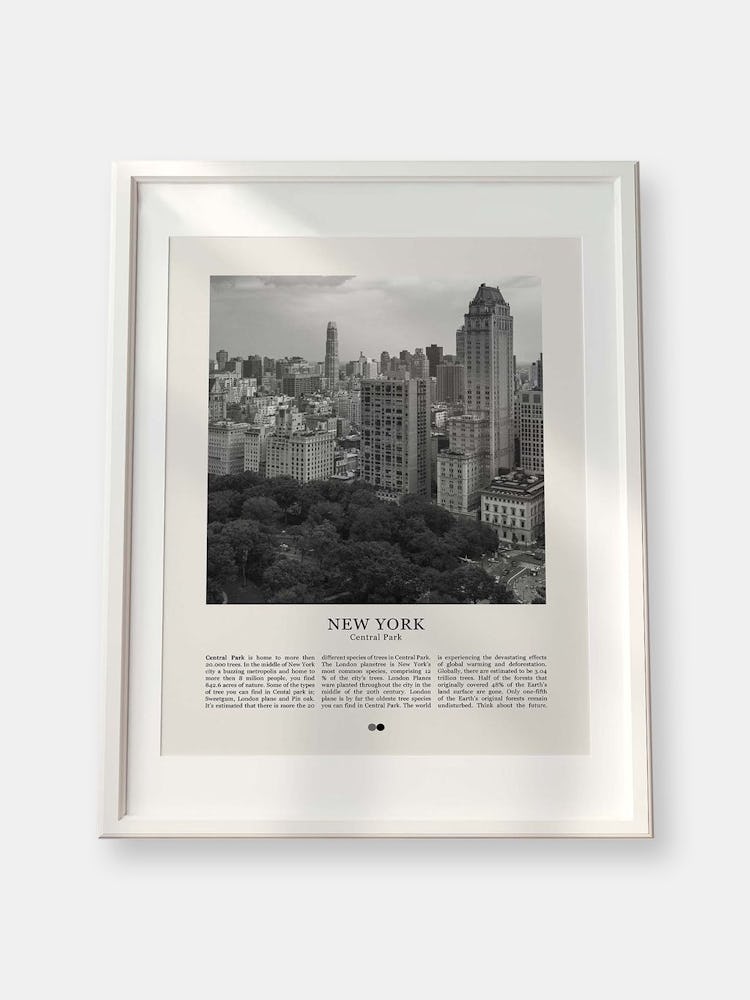 City Poster - New York: additional image