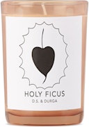 Holy Ficus Candle, 7 oz: additional image