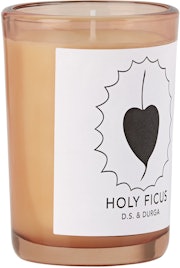 Holy Ficus Candle, 7 oz: image 1