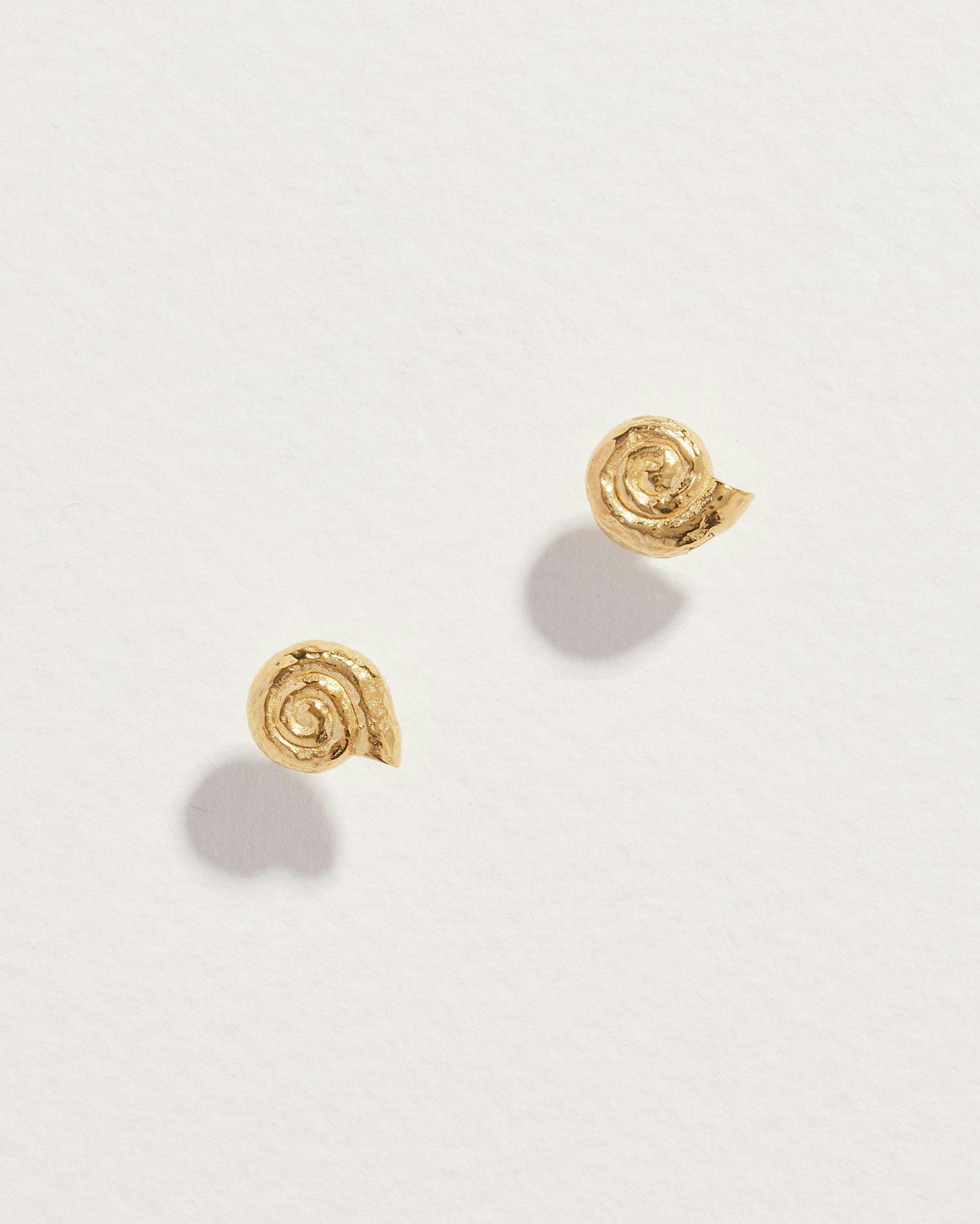Seashell Earrings: image 1