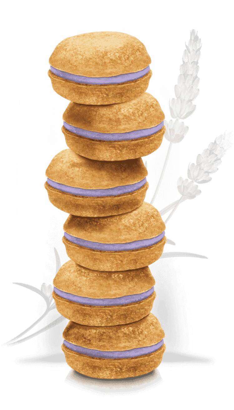 Lavender Dog Macarons: additional image