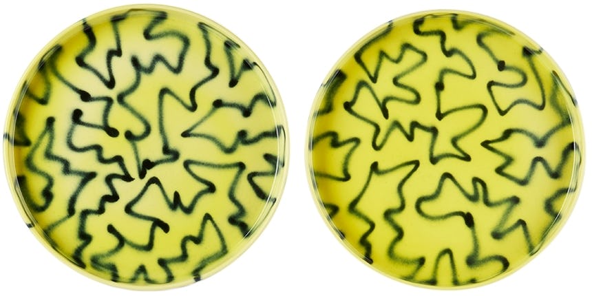 Yellow BB Plate Set: image 1