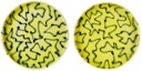 Yellow BB Plate Set: image 1