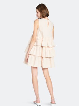 Viggo Mini Dress: additional image