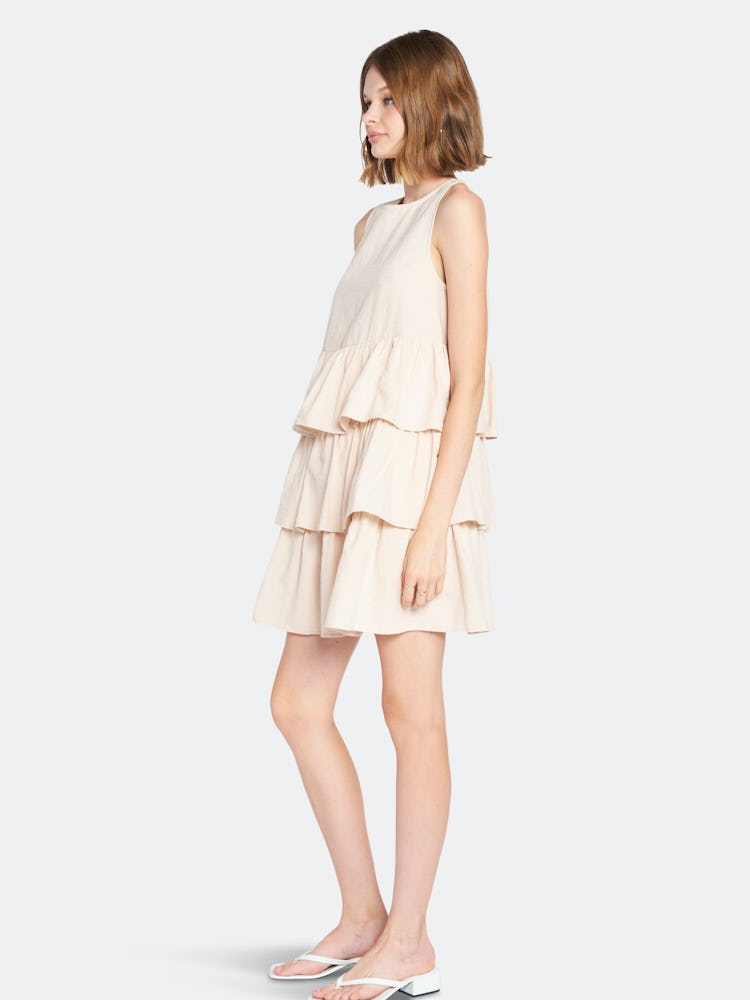 Viggo Mini Dress: additional image