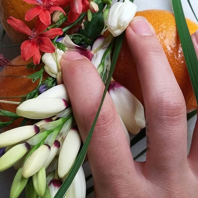 Strange Fruit Is Stephanie Sarley the Betty Tompkins of Instagram?