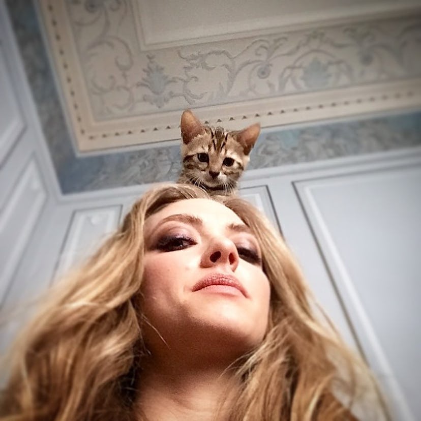 amanda-seyfried-instagram-14.jpg