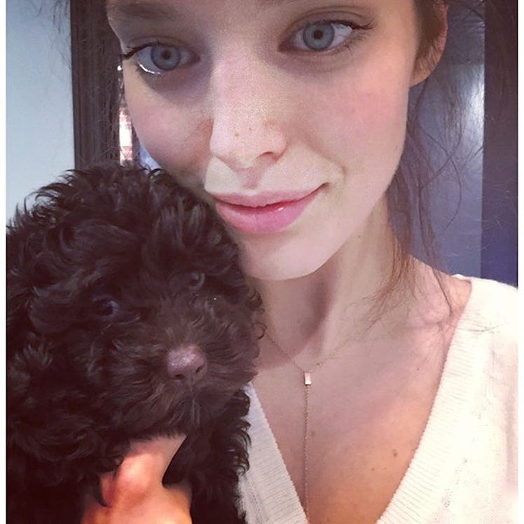 emilydidonato.jpg