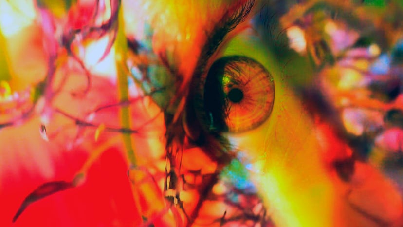 Pipilotti Rist: Pixel Forest - Calendar - September 2016