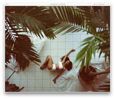 Solange Knowles lying on the floor surrounded by tall palm trees