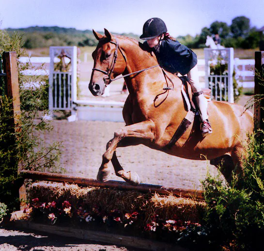 Bruce Springsteen’s Daughter Jessica Exudes Equestrian Chic