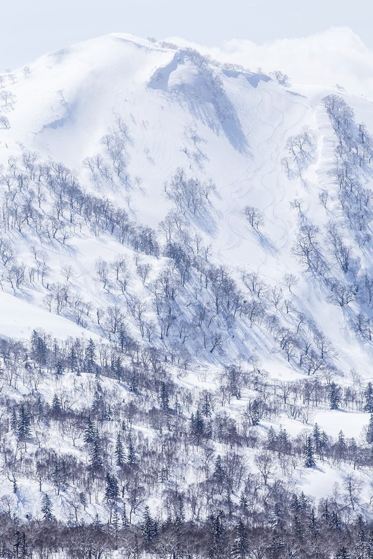 Hokkaido slopes.