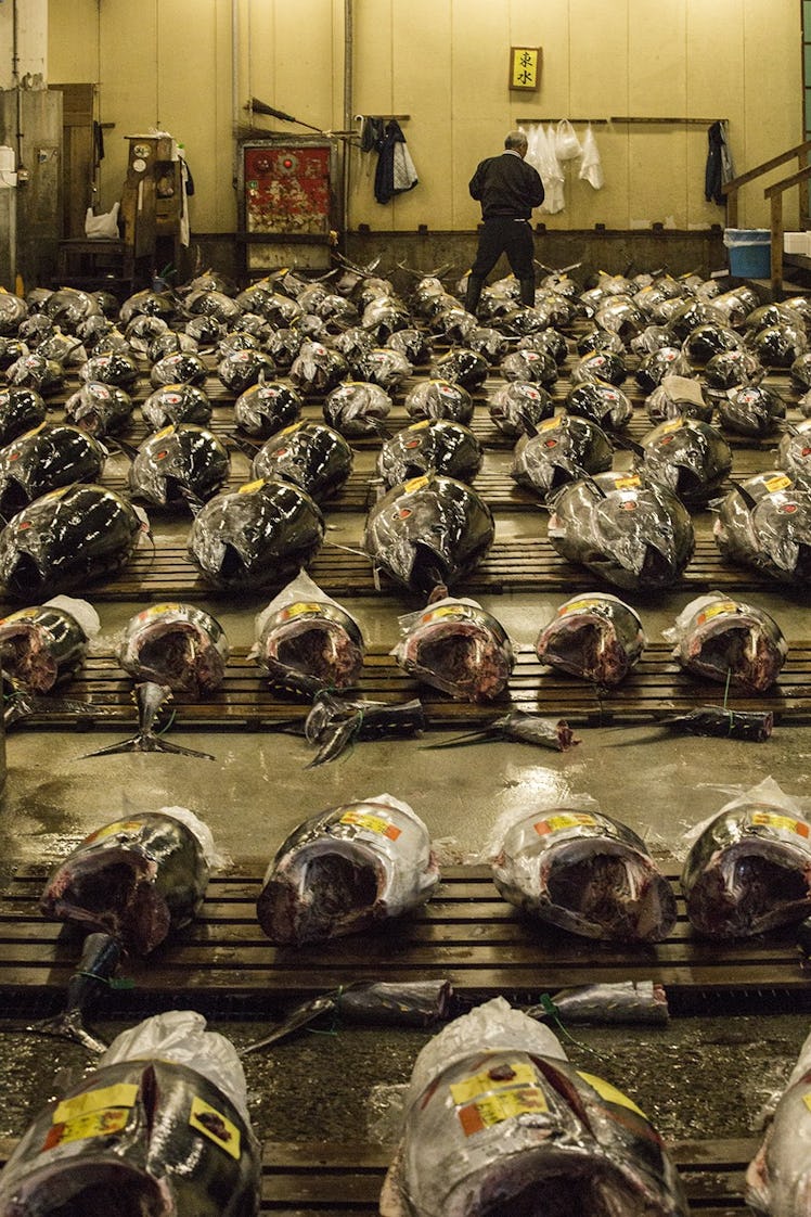 Tsukiji fish market.