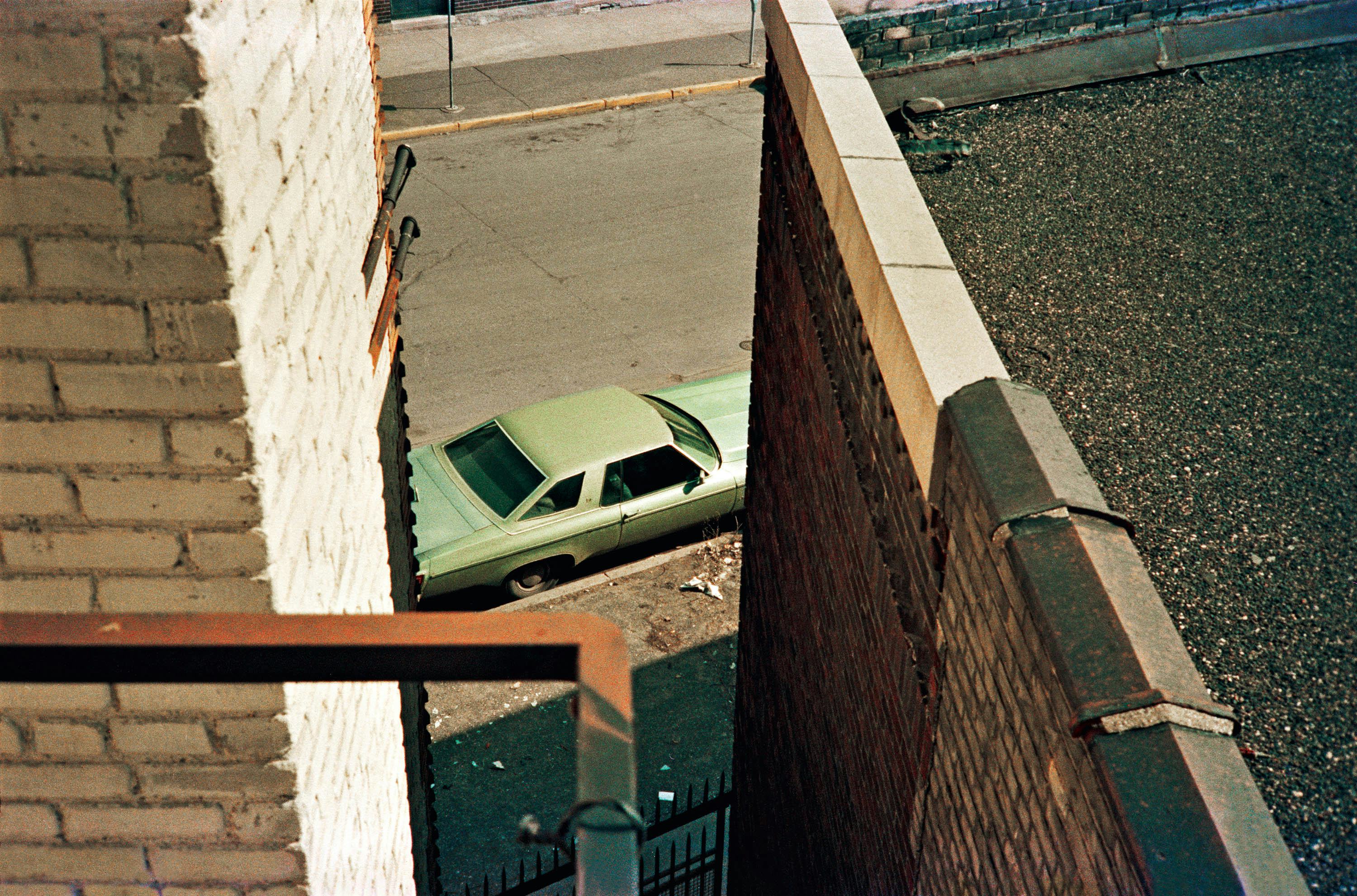 William Eggleston's “Democratic Forest” William Eggleston's “Democratic Forest”