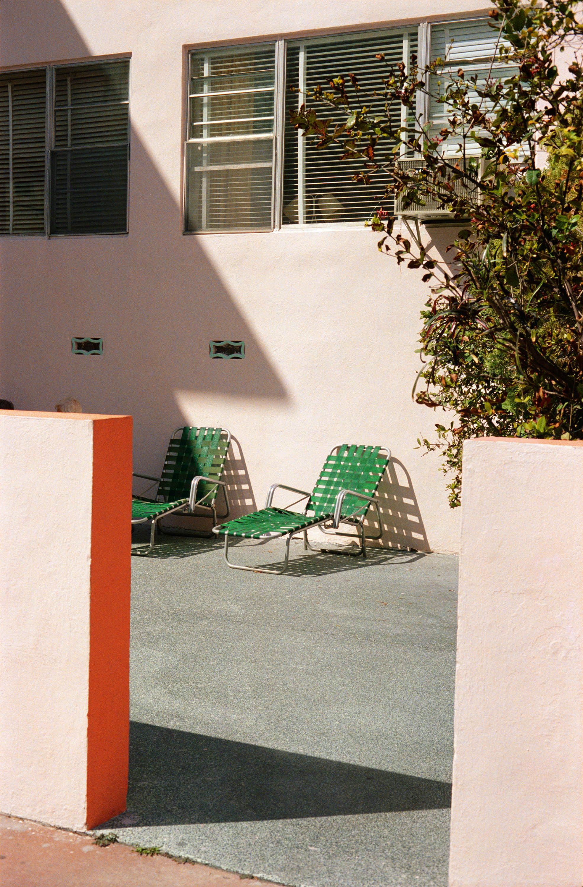 William Eggleston's “Democratic Forest” William Eggleston's “Democratic Forest”
