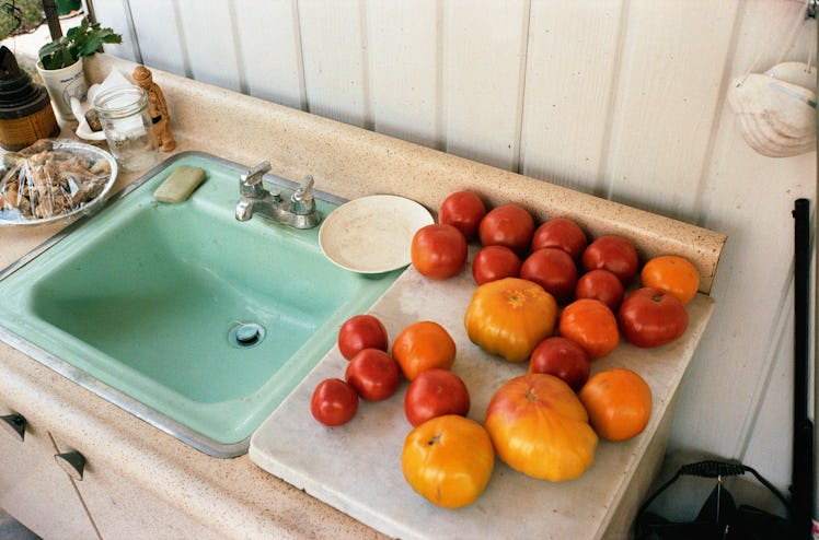 Organic tomatoes displayed beside a blue sink in the kitchen 