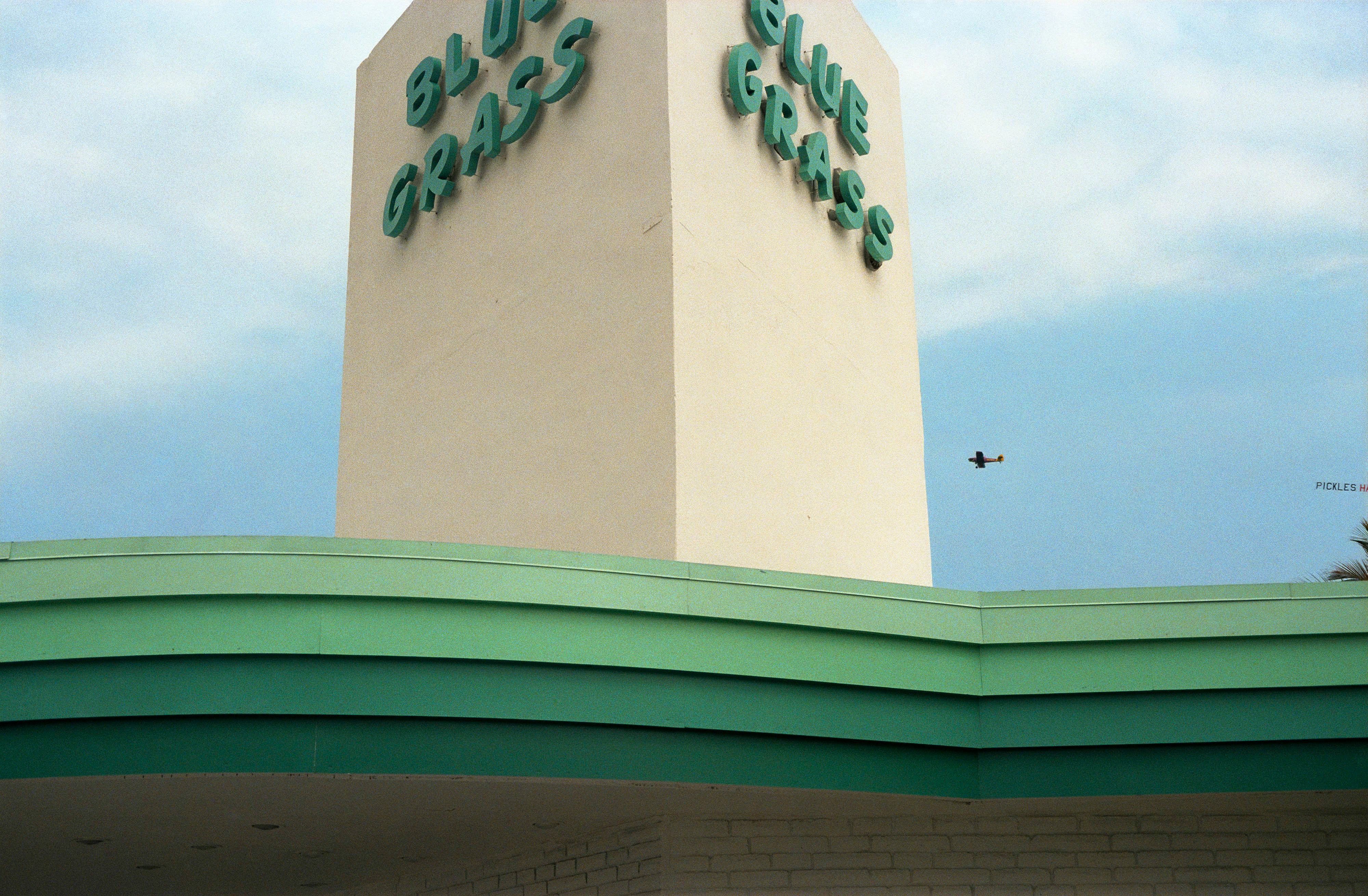 t*m様 William Eggleston The Democratic Fo William Eggleston: The Democratic Forest | Book by William