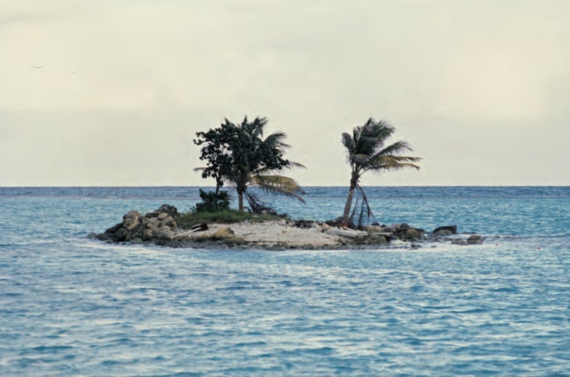 Screen Shot 2016-10-28 at 4.52.01 PM.png