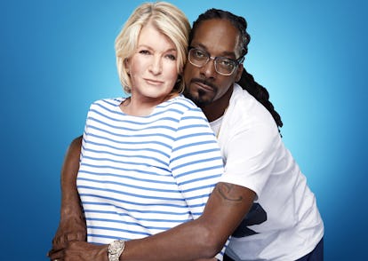 snoop fixed.jpg