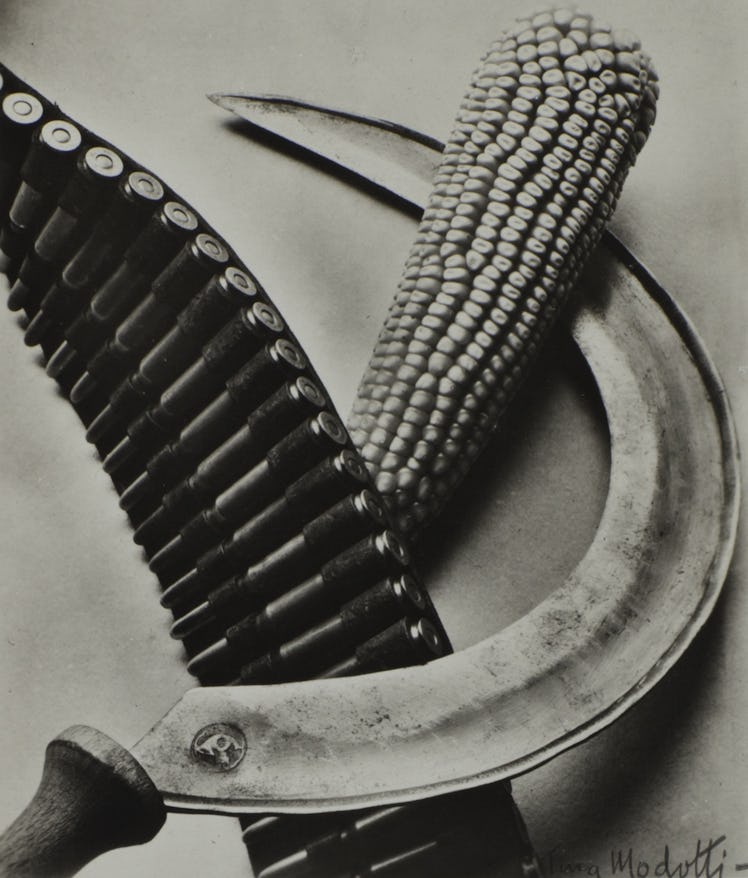 “Bandolier, Corn, and Sickle” photo taken by Tina Modotti