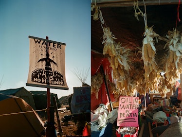 A collage with the protest signs at Standing Rock