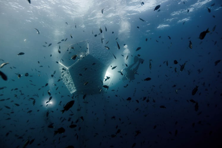 20161102_Doug-Aitken-Underwater-Pavilions-Catalina_Fallon_0633.jpg