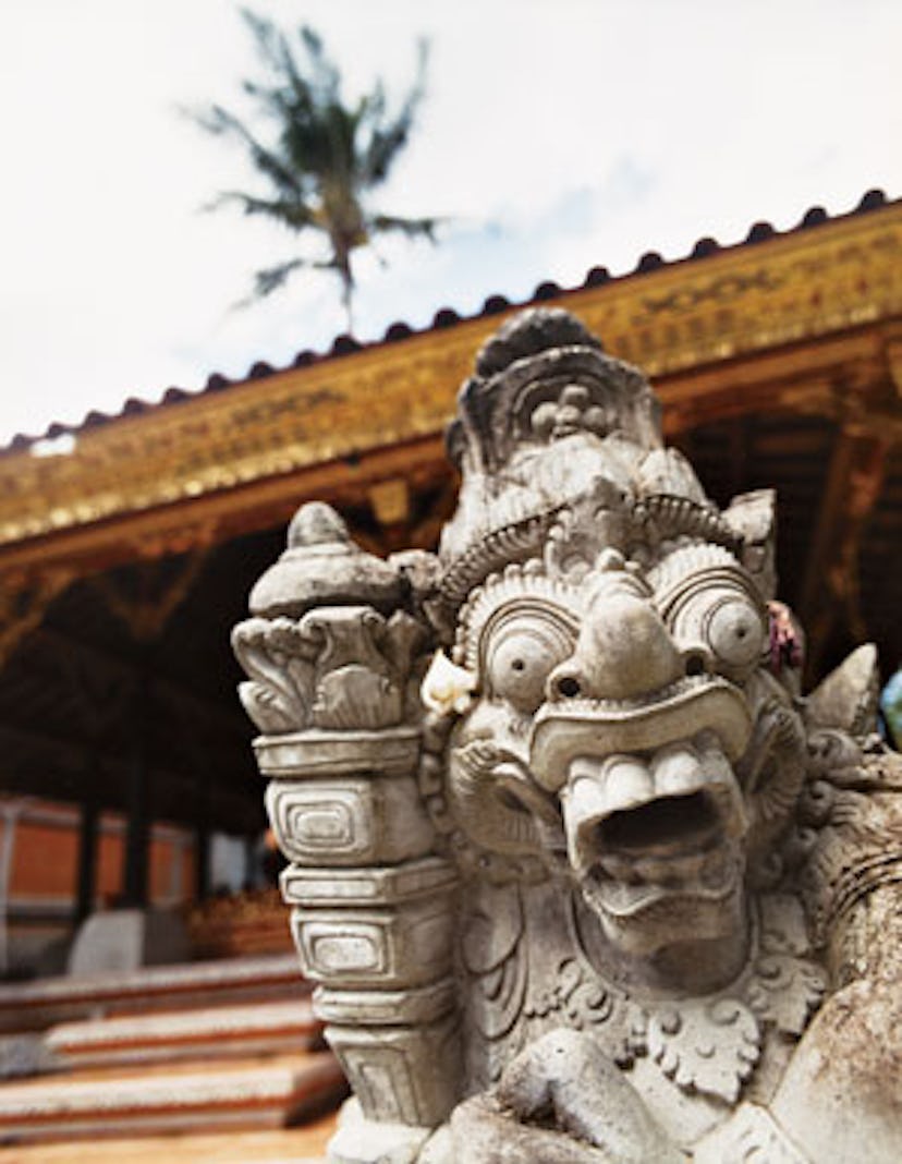 trss_bali_01_v.jpg