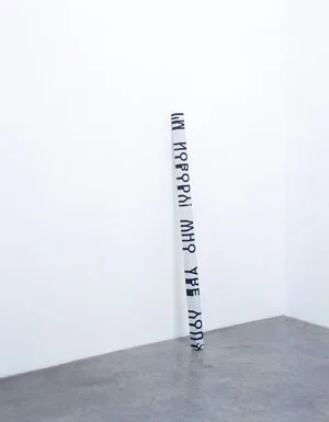 Roni Horn