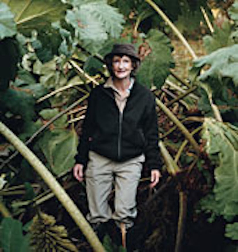 arar_dufferin_search6.jpg