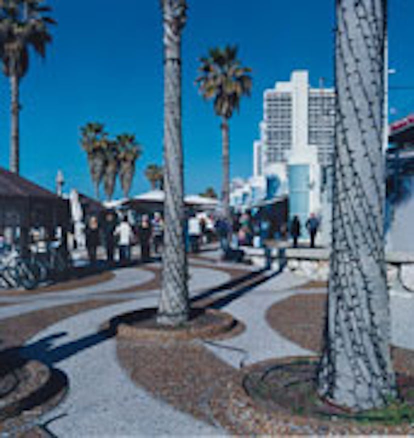 trss_telaviv_search1.jpg