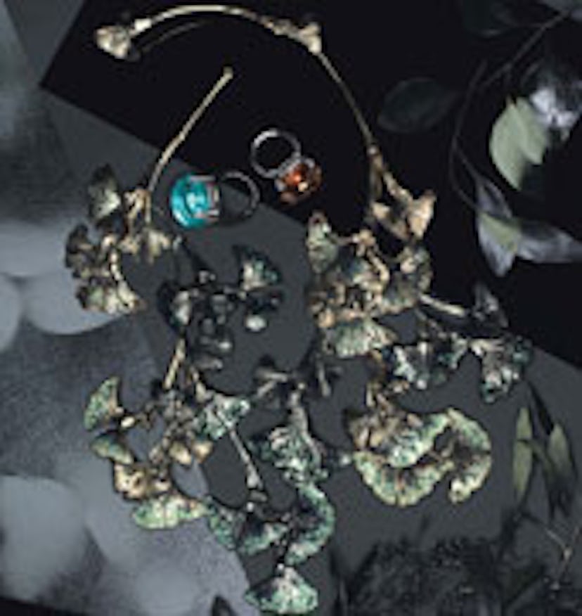 acss_botanical_accessories_search.jpg