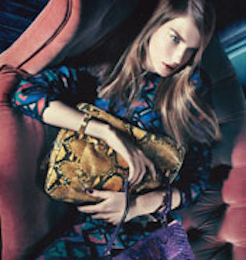 acss-wild-accessories-search.jpg