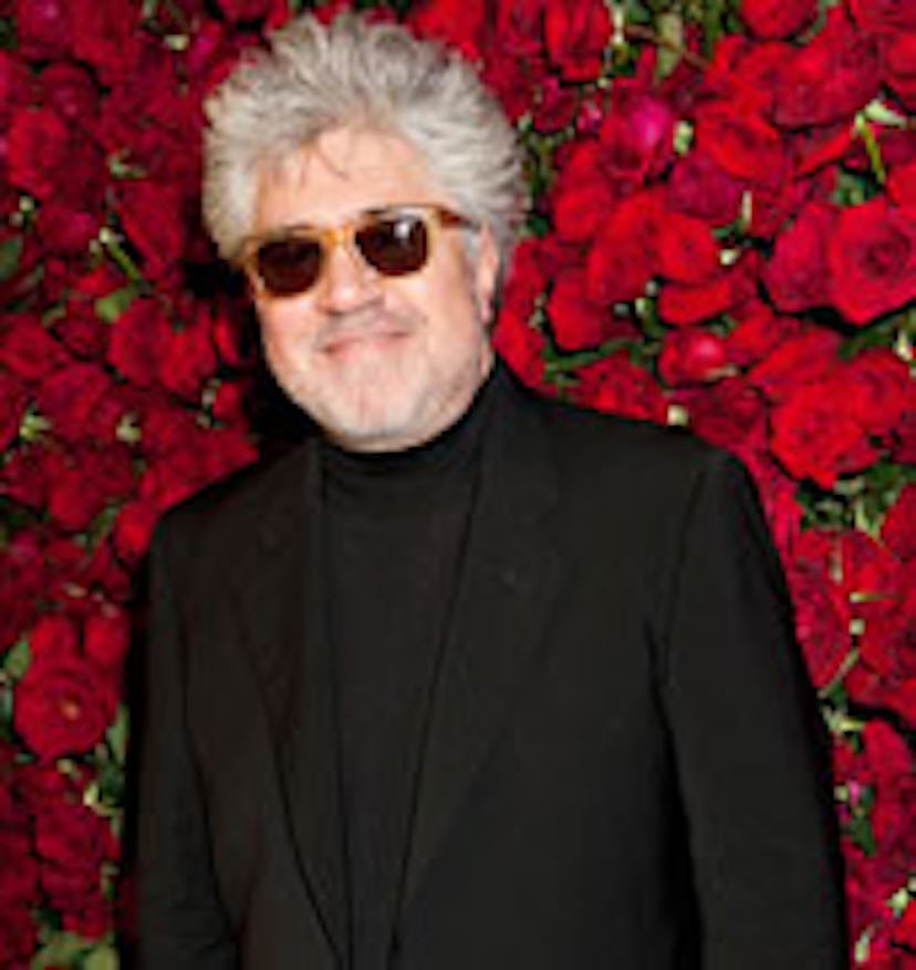 pass-moma-almodovar-search1.jpg