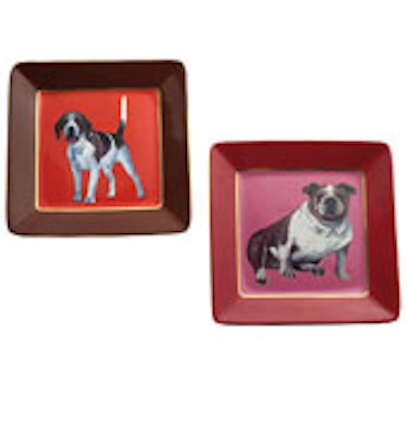 fass-animal-lover-search2.jpg