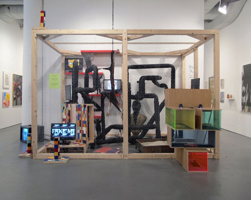 arar-the-cat-show-installation-view