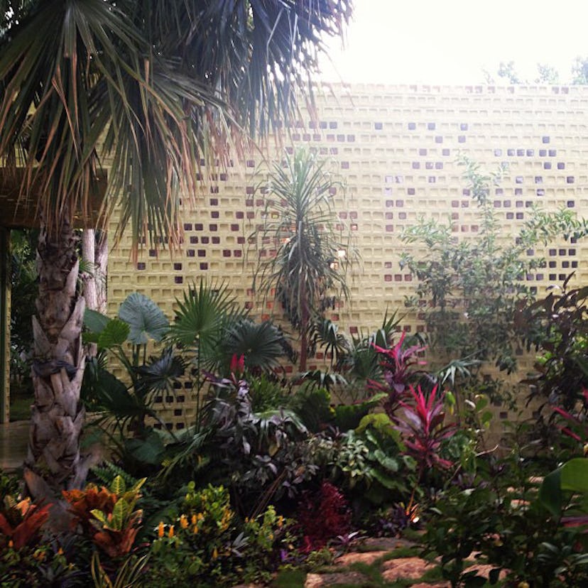 trss-merida-mexico-travel-photos-09