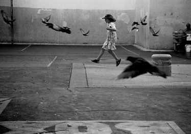 Erik-Madigan-Heck,-Girl-Running-with-Birds
