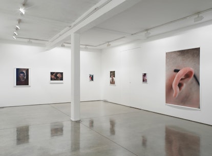 MP-installation-view-2013-downstairs